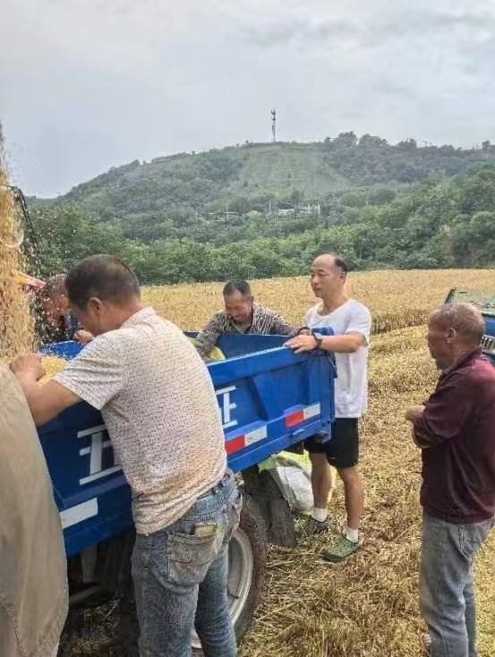 鄉(xiāng)村振興工作動(dòng)態(tài)(第158期)