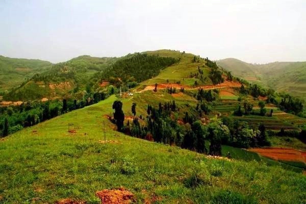 鄉(xiāng)村振興工作動(dòng)態(tài) (第142期)