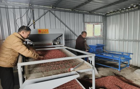 鄉(xiāng)村振興工作動態(tài)(第173期)