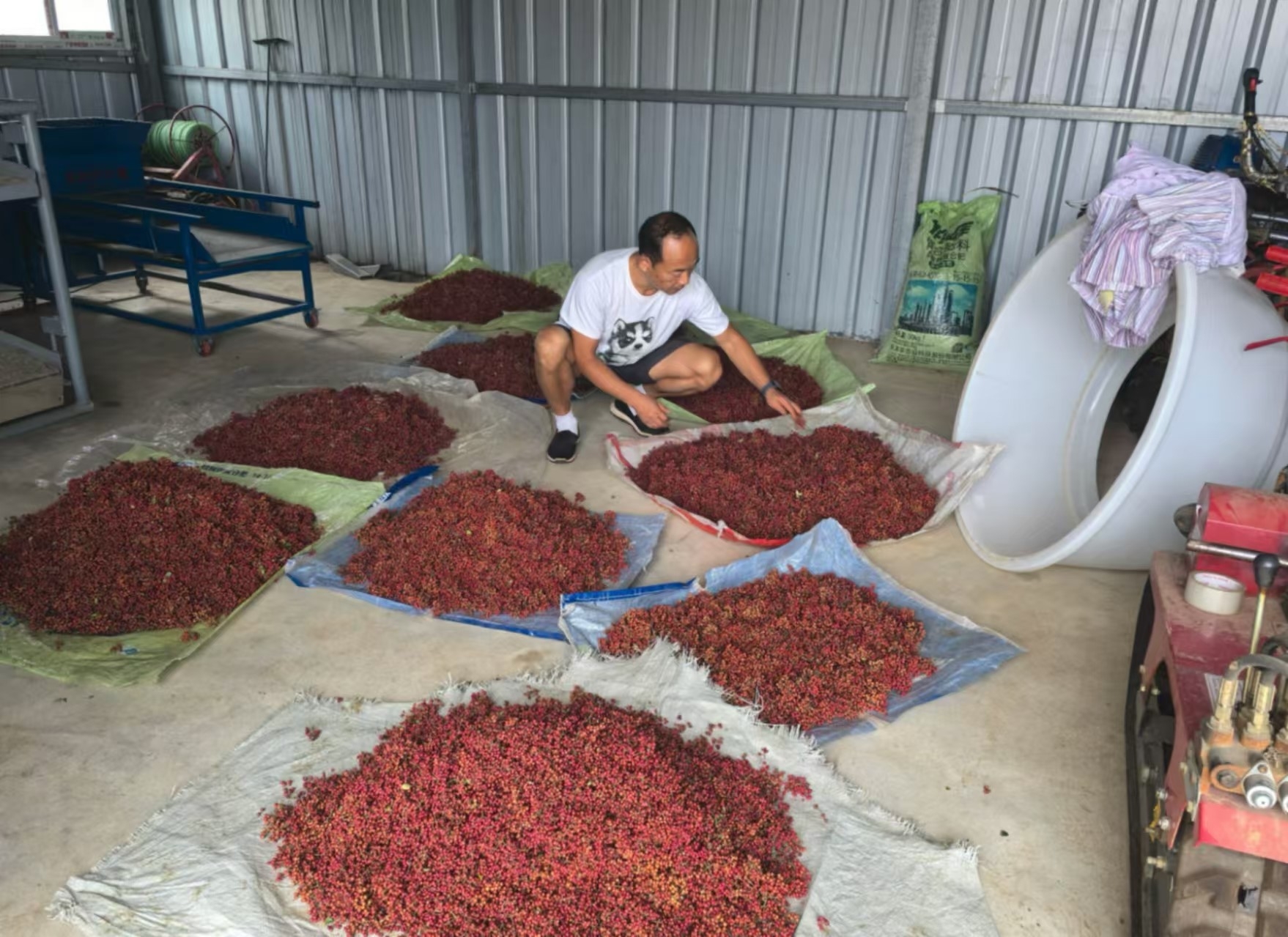 鄉(xiāng)村振興工作動(dòng)態(tài)(第160期)