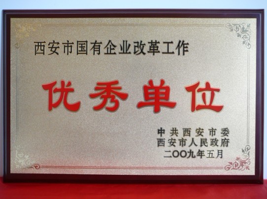 2009年5月，被西安市委、市政府評(píng)為西安市國企業(yè)改革工作優(yōu)秀單位