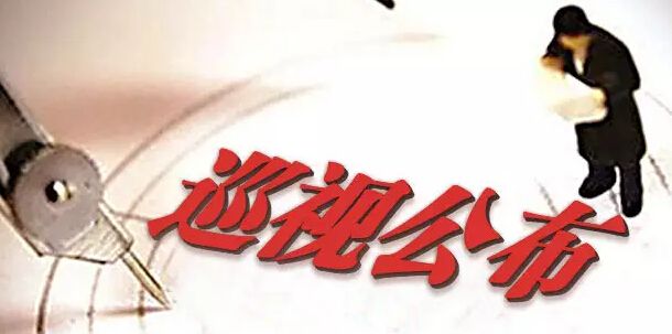 中共西安工業(yè)資產經營公司黨委  關于巡視整改情況的通報