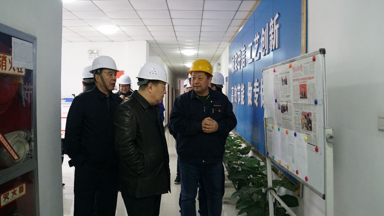 集團(tuán)領(lǐng)導(dǎo)金輝帶隊赴標(biāo)準(zhǔn)電梯、標(biāo)準(zhǔn)熱處理進(jìn)行工作調(diào)研