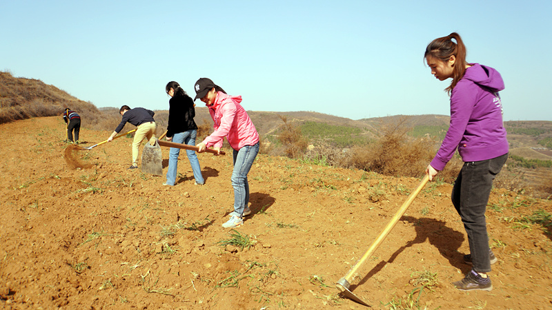 1554083719210855.jpg 5_副本.jpg