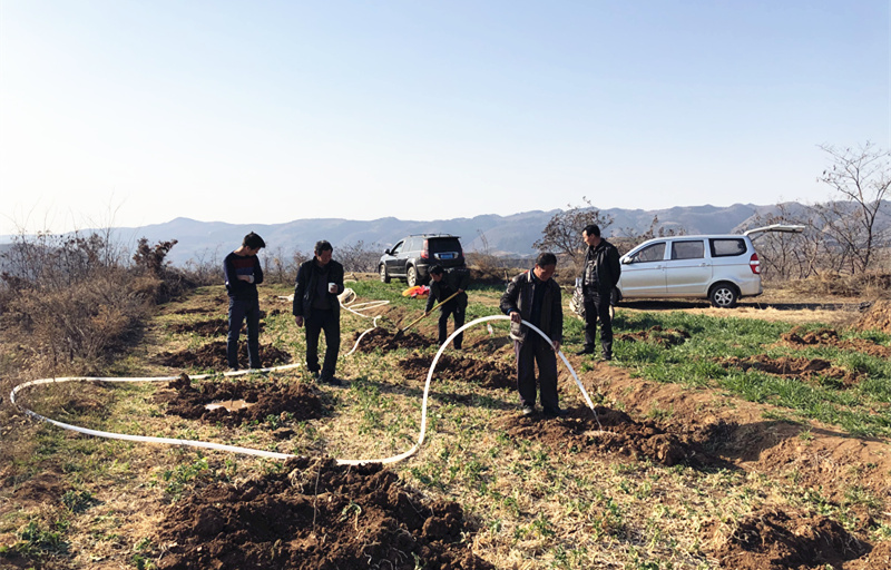 1554083806678180.jpg 6_副本.jpg