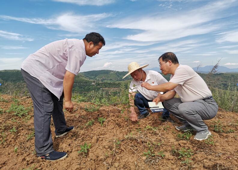 1564986921921181.jpg 1564986921921181.jpg