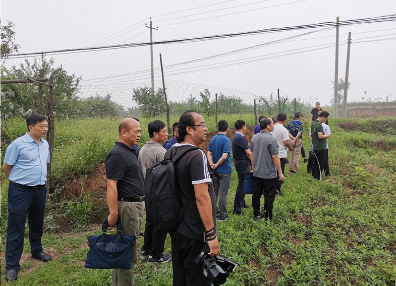 1569564524226519.jpg 1569564524226519.jpg