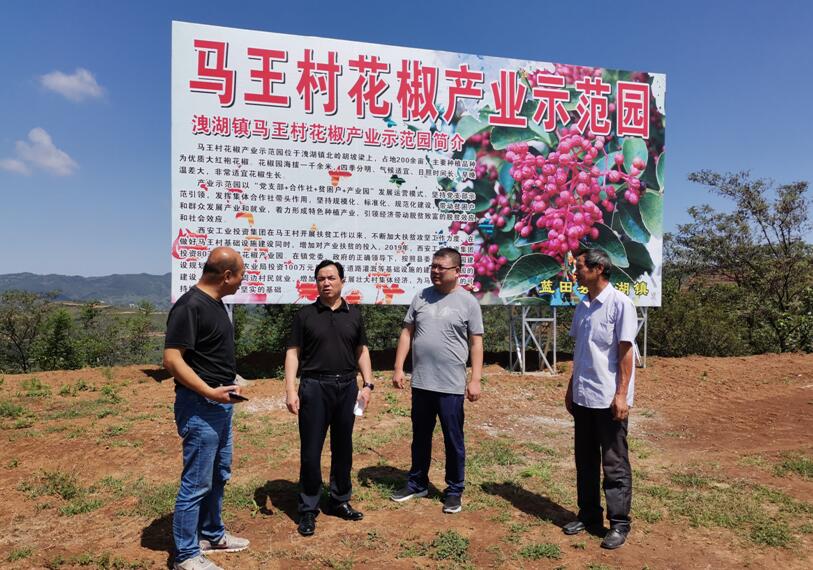 1569564543201431.jpg 1569564543201431.jpg